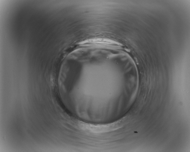 X0000068740039200605121555