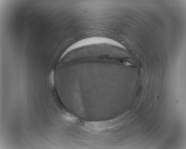 X0000068740041200605121555