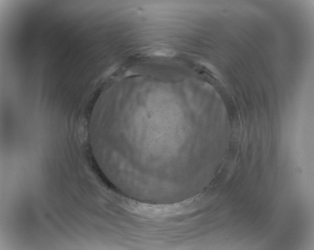 X0000068740043200605121555