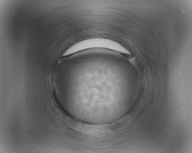 X0000068740044200605121555