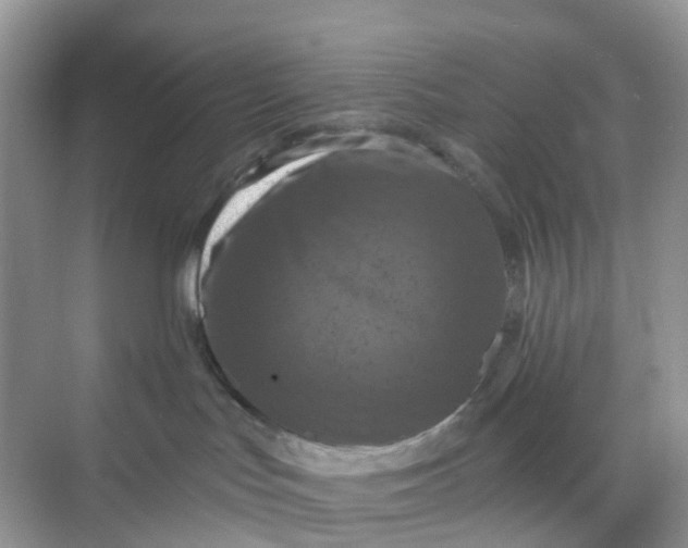 X0000068740047200605121555