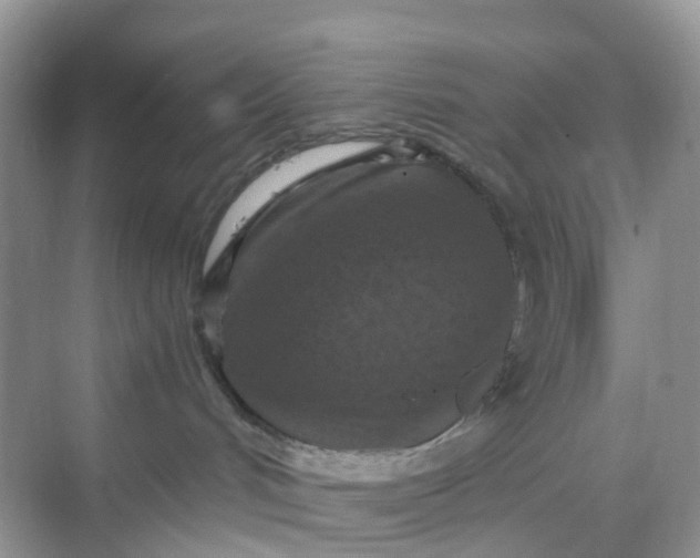 X0000068740048200605121555