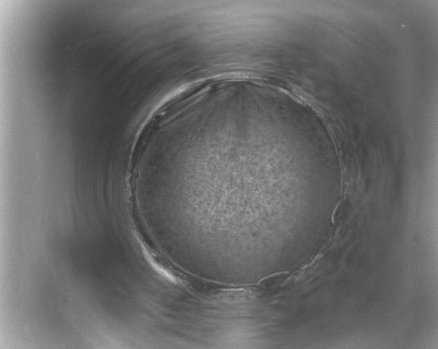 X0000068740050200605121554