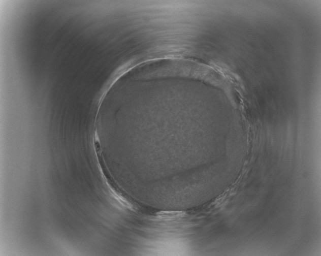 X0000068740051200605121554