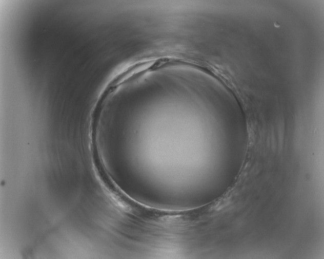 X0000068740054200605121554