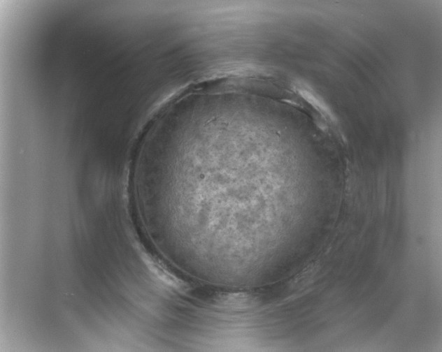 X0000068740058200605121554