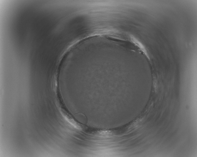 X0000068740059200605121554