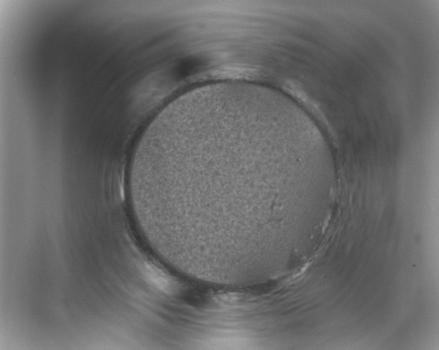 X0000068740062200605121554