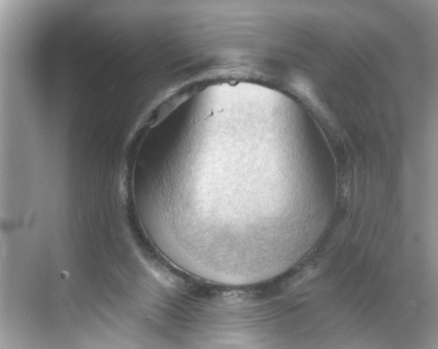 X0000068740064200605121554