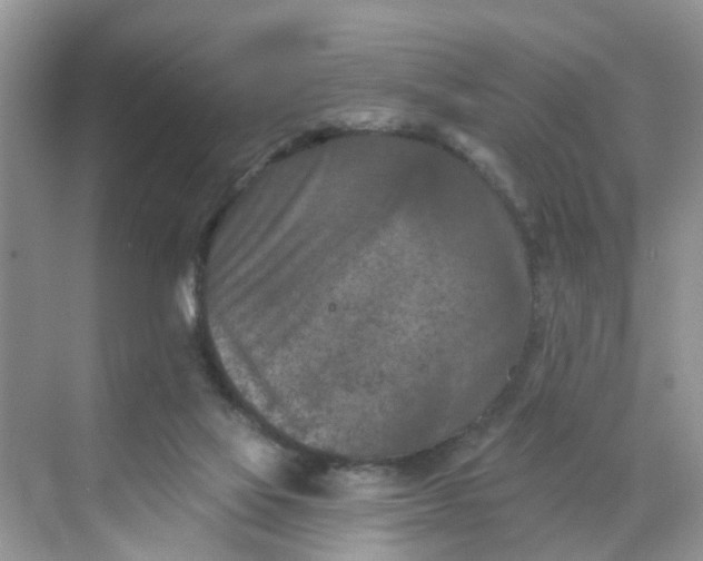 X0000068740069200605121555