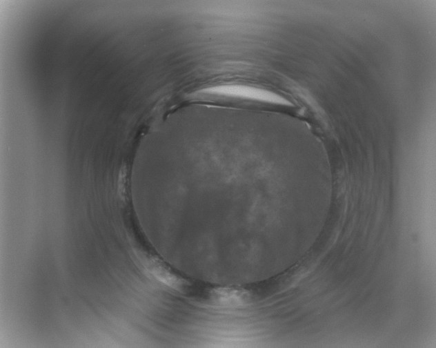 X0000068740073200605121555