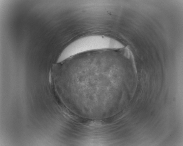 X0000068740075200605121555