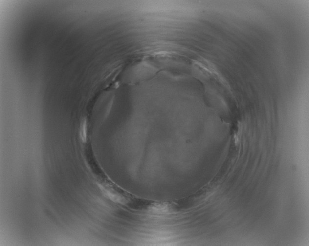 X0000068740076200605121555