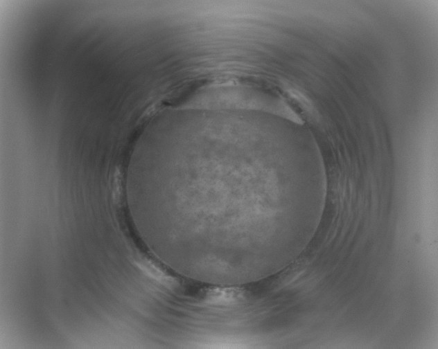 X0000068740077200605121555