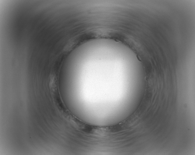 X0000068740079200605121555