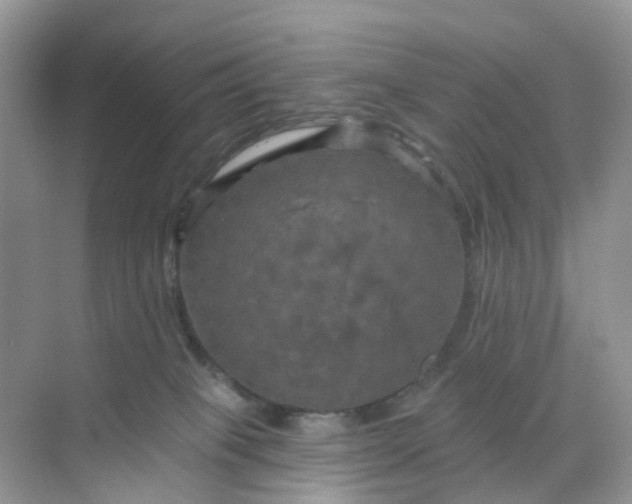 X0000068740085200605121555