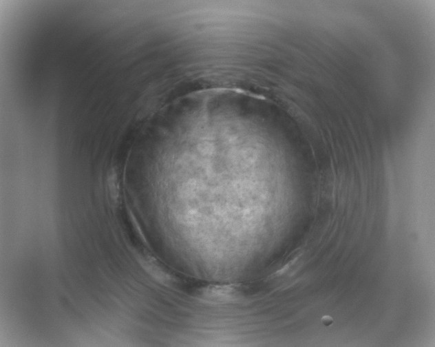 X0000068740086200605121555