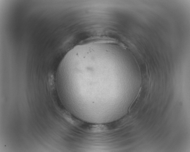 X0000068740087200605121555