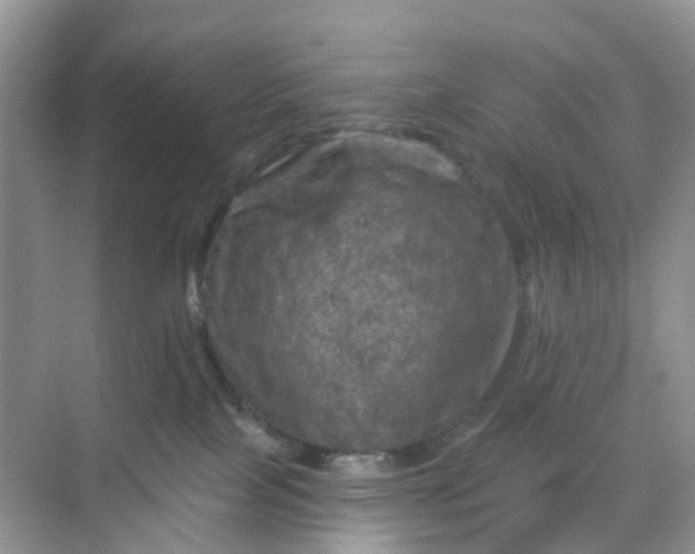 X0000068740089200605121555