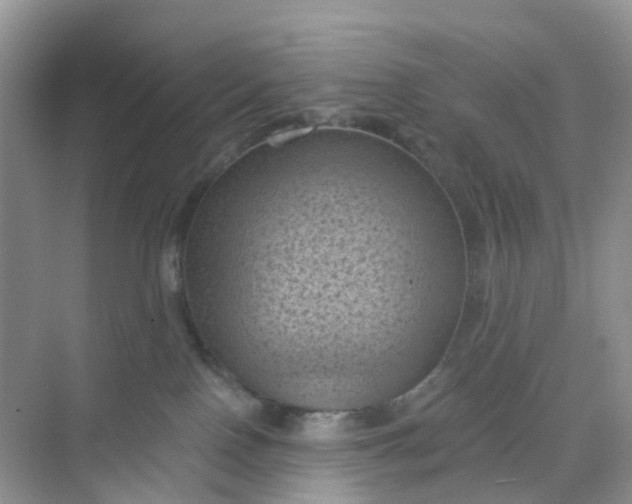 X0000068740090200605121555