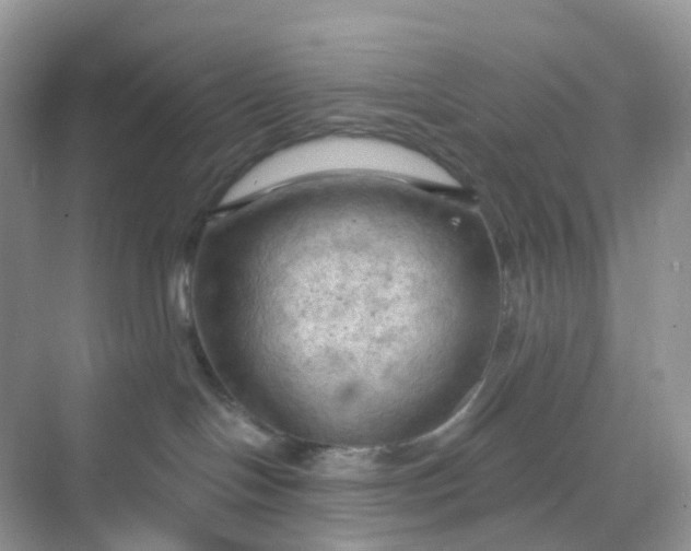 X0000068740094200605121555