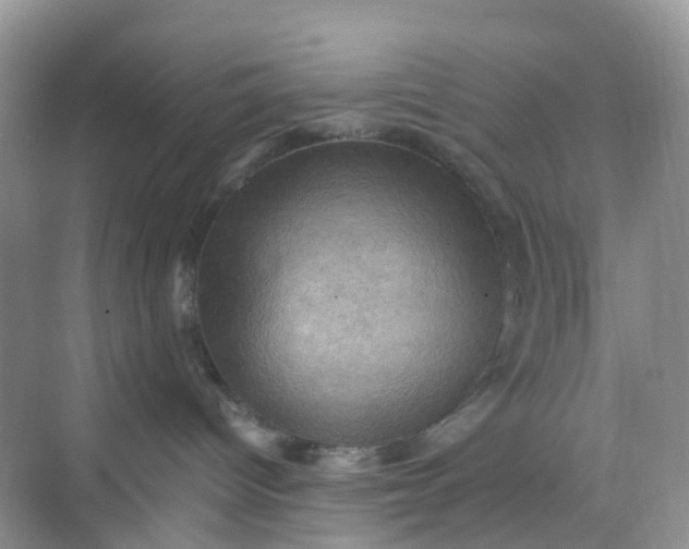 X0000068740096200605121555