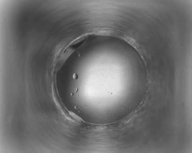 X0000068740097200605121554