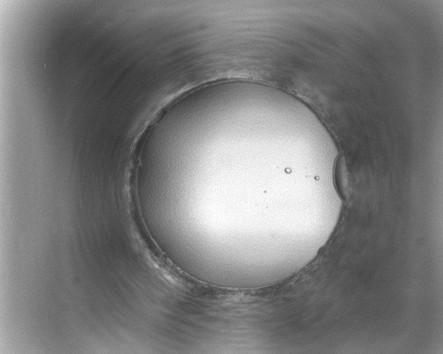 X0000068740098200605121554