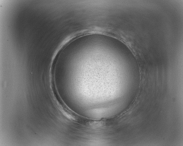 X0000068740102200605121554