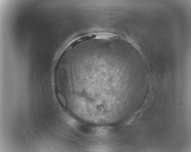 X0000068740103200605121554