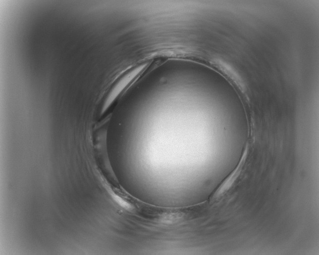 X0000068740105200605121554