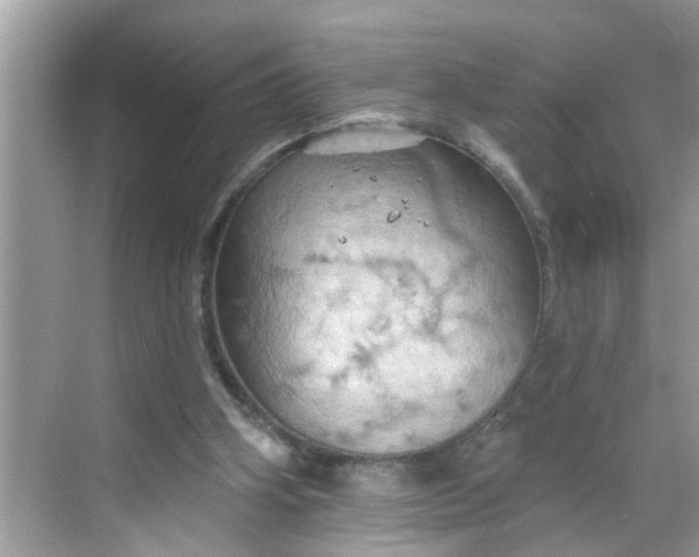 X0000068740106200605121554