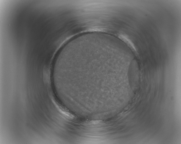 X0000068740108200605121554