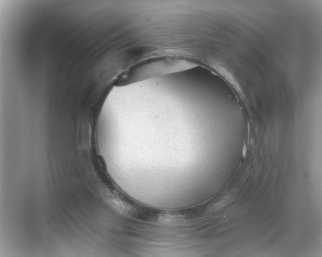 X0000068740109200605121554