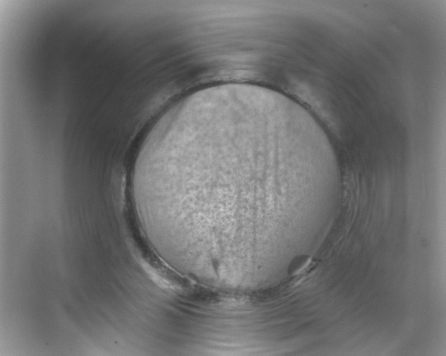 X0000068740110200605121554