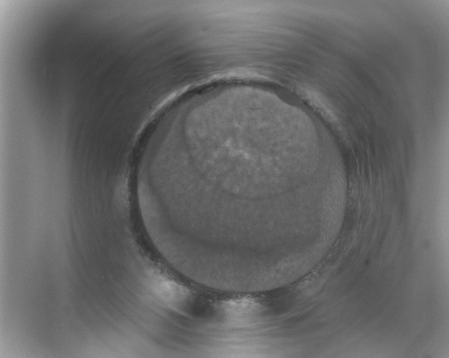 X0000068740112200605121554