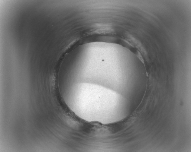 X0000068740113200605121554