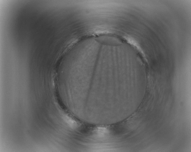 X0000068740114200605121554