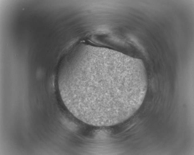 X0000068740115200605121554