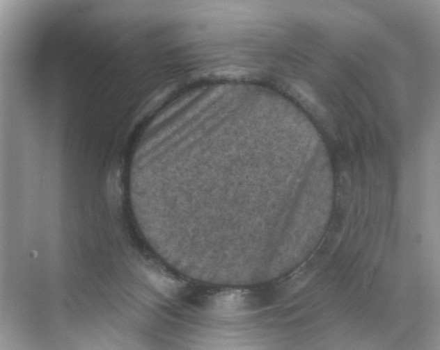 X0000068740116200605121554