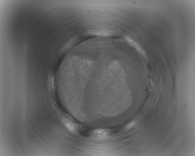 X0000068740117200605121554