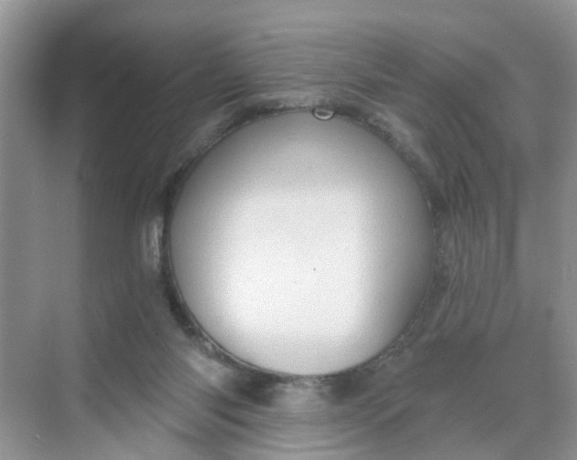 X0000068740118200605121554