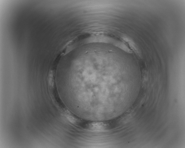 X0000068740121200605121554