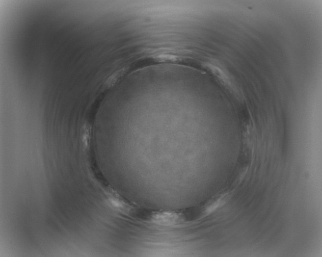 X0000068740125200605121554