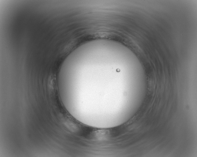 X0000068740126200605121554