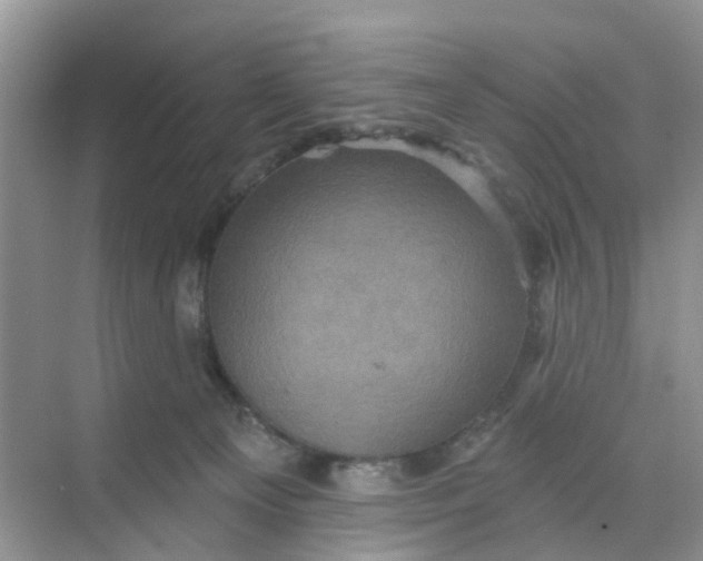 X0000068740129200605121554