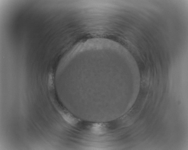 X0000068740130200605121554