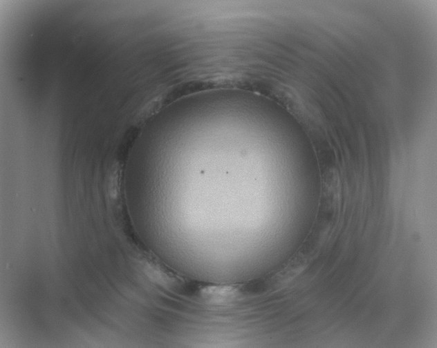 X0000068740133200605121554