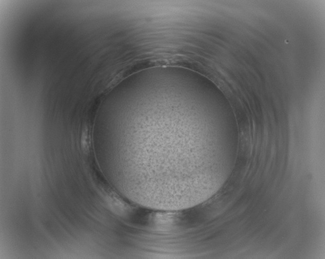 X0000068740134200605121554