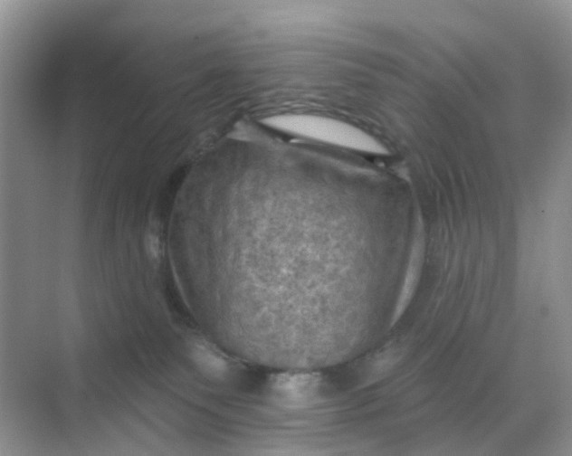 X0000068740135200605121554